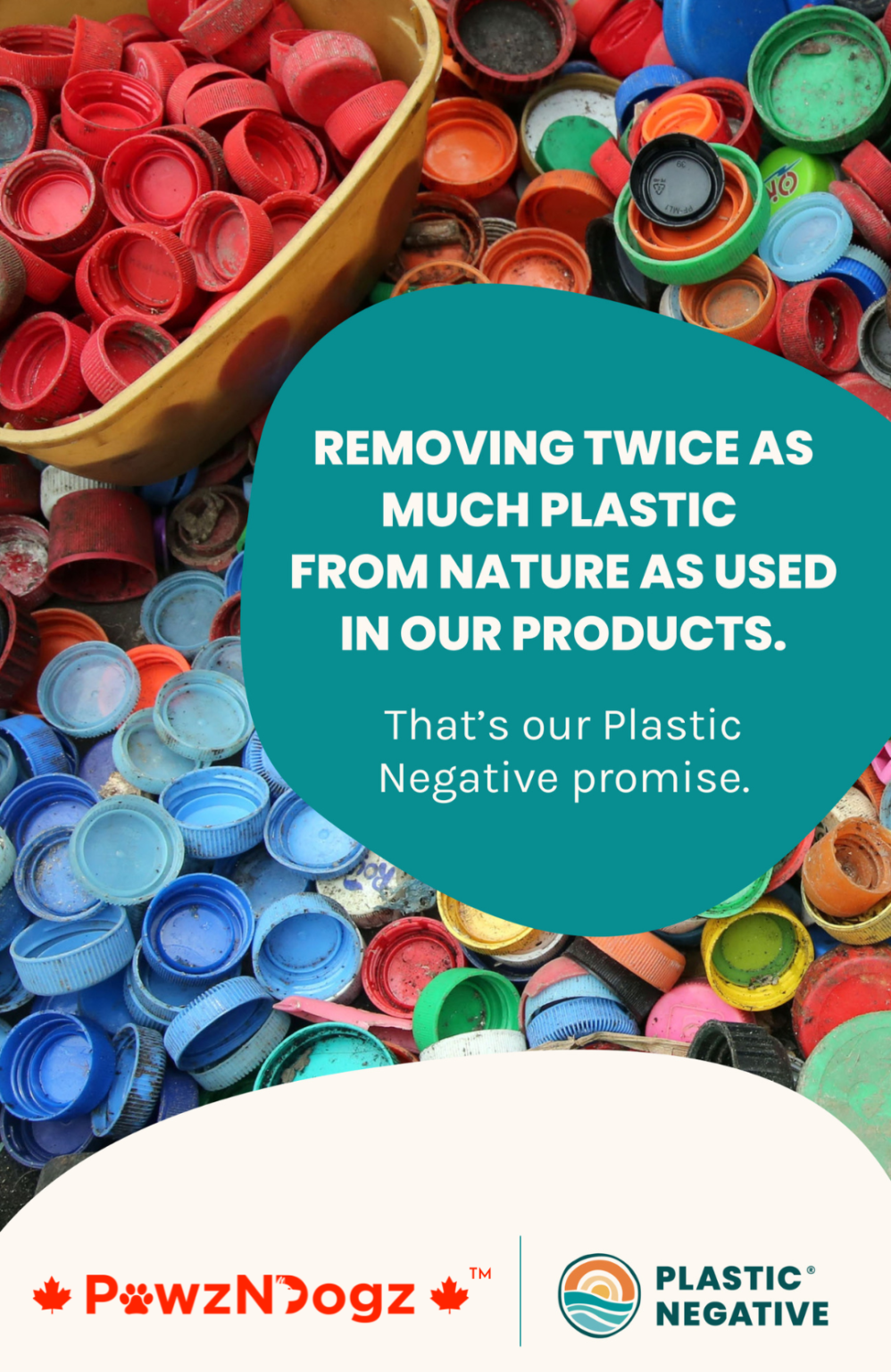 PawzNDogz amongst top 3 leading Canadian pet brands with a Plastic